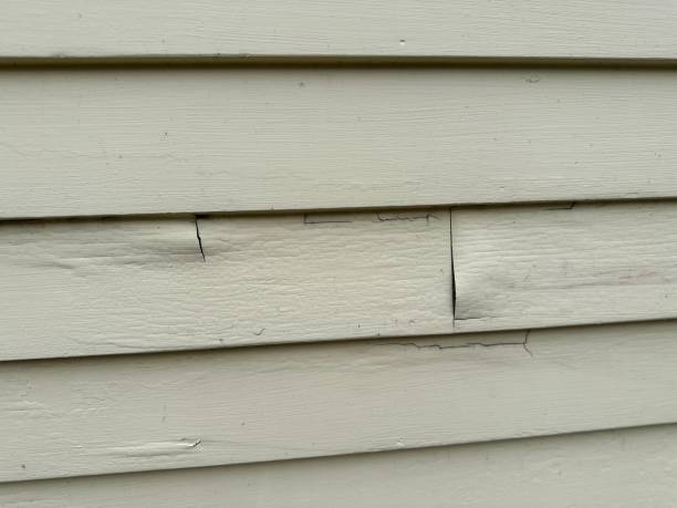Affordable siding repair and maintenance services in Gloster, MS